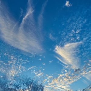 Meet your Posher, Jocelyn